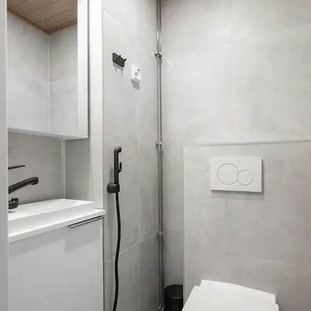 Glorious And Luxurious Loft Apartm. In Center Appartement *