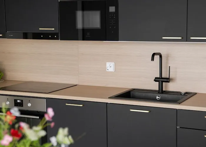 Glorious And Luxurious Loft Apartm. In Center Apartment *