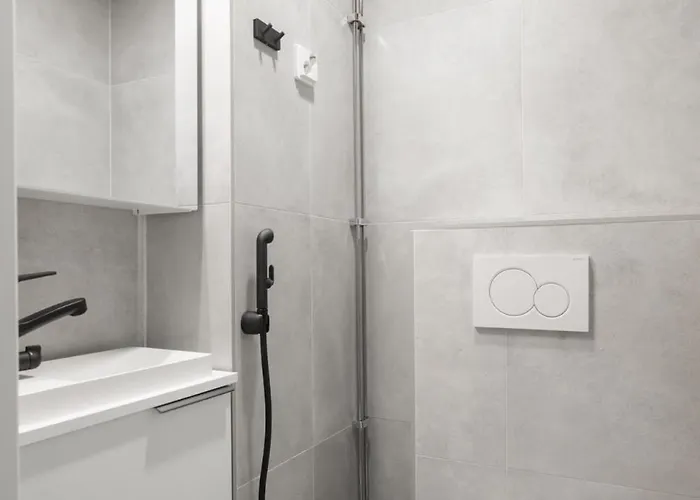 Glorious And Luxurious Loft Apartm. In Center Apartment *